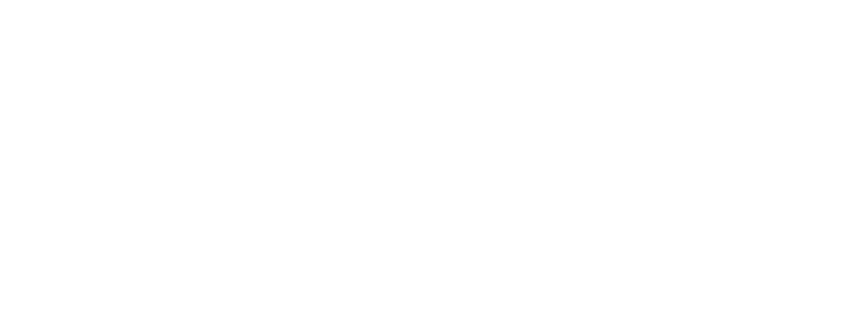 NiiT Logo